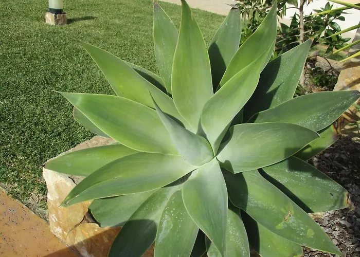 아파트 Monte Dos Avos, By Algarveblossom