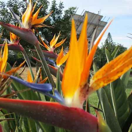 Monte Dos Avos, By Algarveblossom *