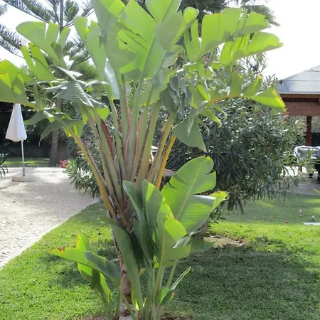 Apartment Monte Dos Avos, By Algarveblossom